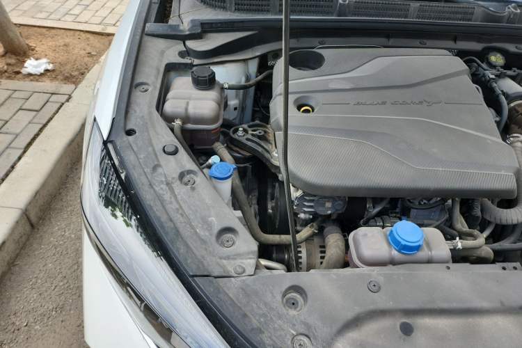 Used CHANGAN Eado 2022 PLUS Blue Whale NE 1.4T GDI DCT Prestige Edition Engine Bay Right
