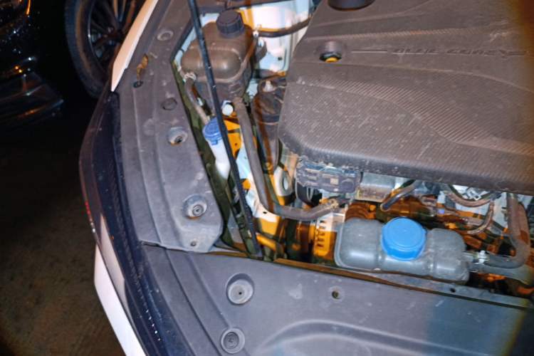 Used CHANGAN Eado 2022 PLUS Blue Whale NE 1.4T GDI DCT Flagship Edition Engine Bay Right