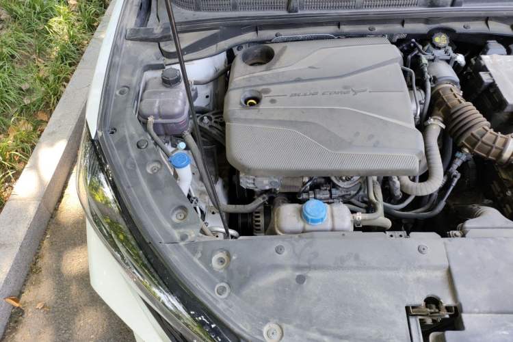 Used CHANGAN Eado 2022 PLUS Blue Whale NE 1.4T GDI DCT Prestige Edition Engine Bay Right