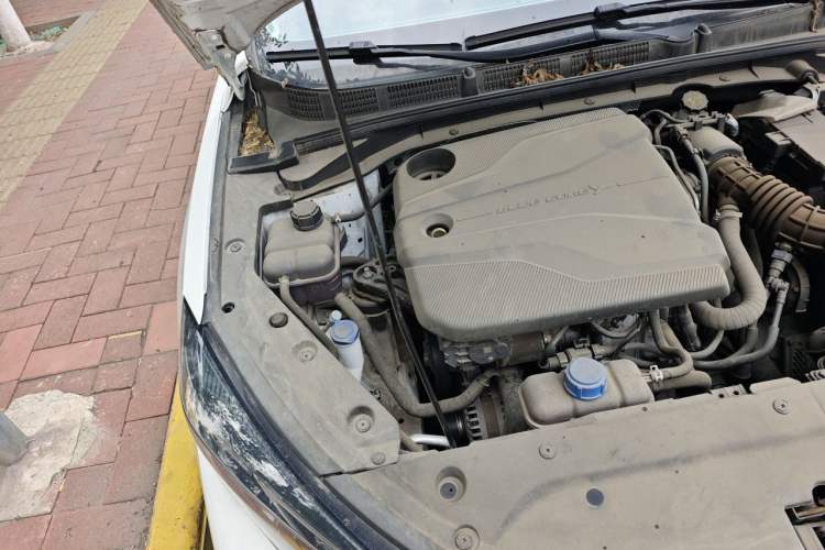 Used CHANGAN Eado 2022 PLUS Blue Whale NE 1.4T GDI DCT Prestige Edition Engine Bay Right
