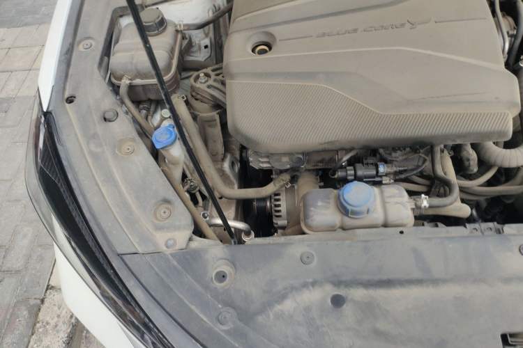 Used CHANGAN Eado 2022 PLUS Blue Whale NE 1.4T GDI DCT Prestige Edition Engine Bay Right