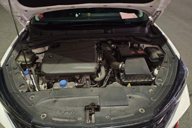 Used CHANGAN Eado 2022 PLUS Blue Whale NE 1.4T GDI DCT Flagship Edition Engine Bay