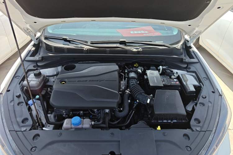 Used CHANGAN Eado 2022 PLUS Blue Whale NE 1.4T GDI DCT Prestige Edition Engine Bay