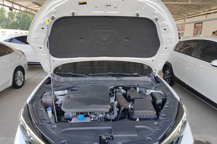 Used CHANGAN Eado 2022 PLUS Blue Whale NE 1.4T GDI DCT Prestige Edition Engine Bay