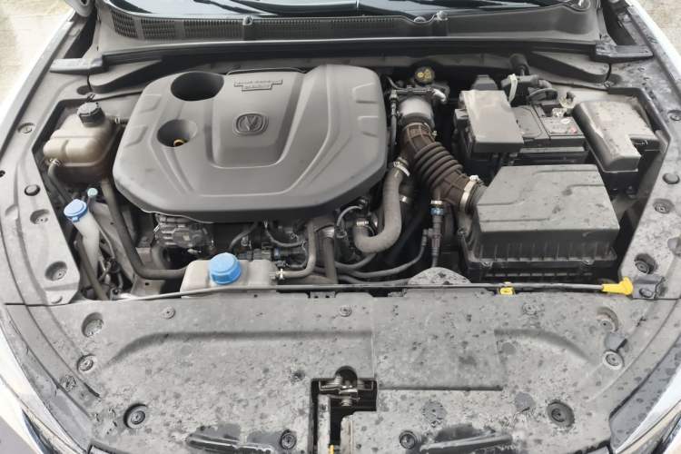 Used CHANGAN Eado 2022 PLUS Blue Whale NE 1.4T GDI DCT Prestige Edition Engine Bay