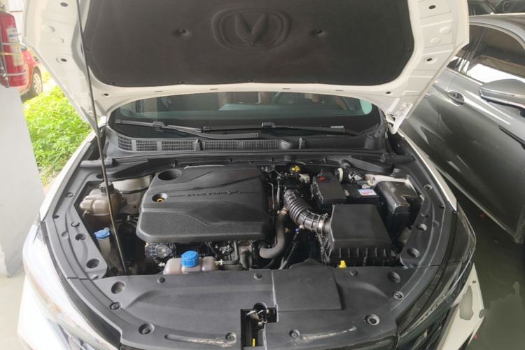 Used CHANGAN Eado 2022 PLUS Blue Whale NE 1.4T GDI DCT Prestige Edition Engine Bay