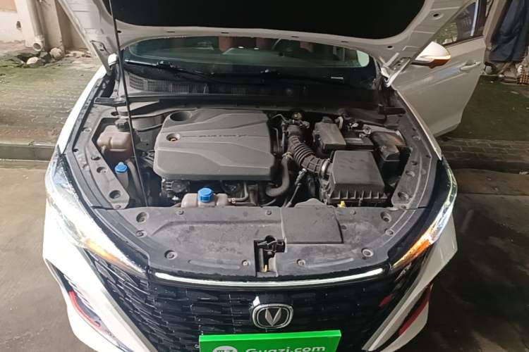 Used CHANGAN Eado 2022 PLUS Blue Whale NE 1.4T GDI DCT Prestige Edition Engine Bay