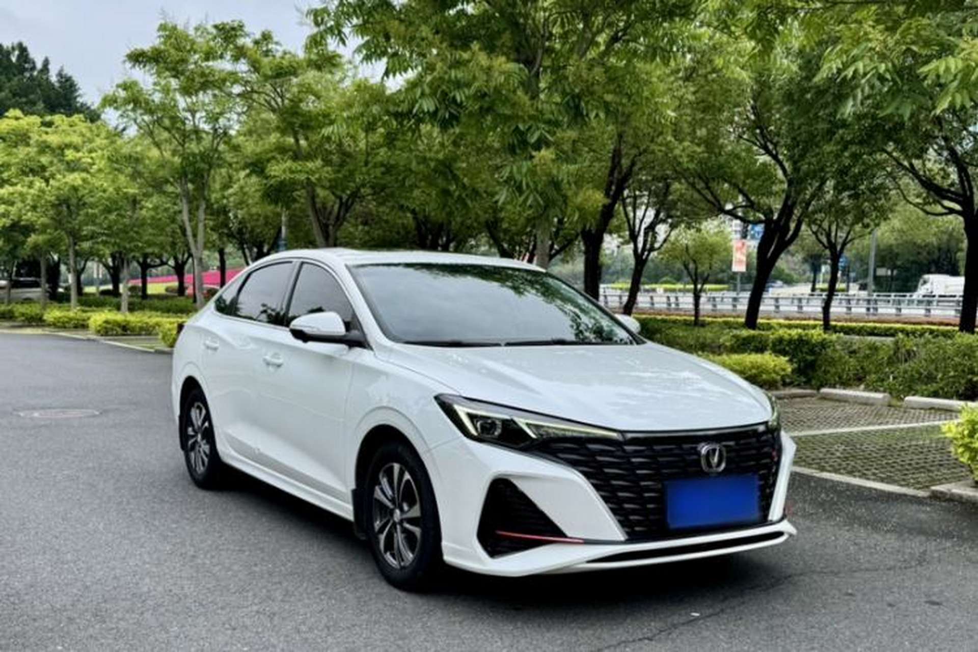 Used CHANGAN Eado 2022 PLUS Blue Whale NE 1.4T GDI DCT Prestige Edition Exterior 8