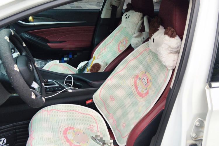 Used CHANGAN Eado 2022 PLUS Blue Whale NE 1.4T GDI DCT Flagship Edition Left Front Seat