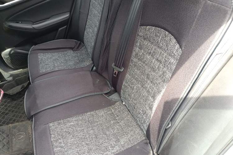 Used CHANGAN Eado 2022 PLUS 1.6L GDI Manual Luxury Model Left Rear Seat