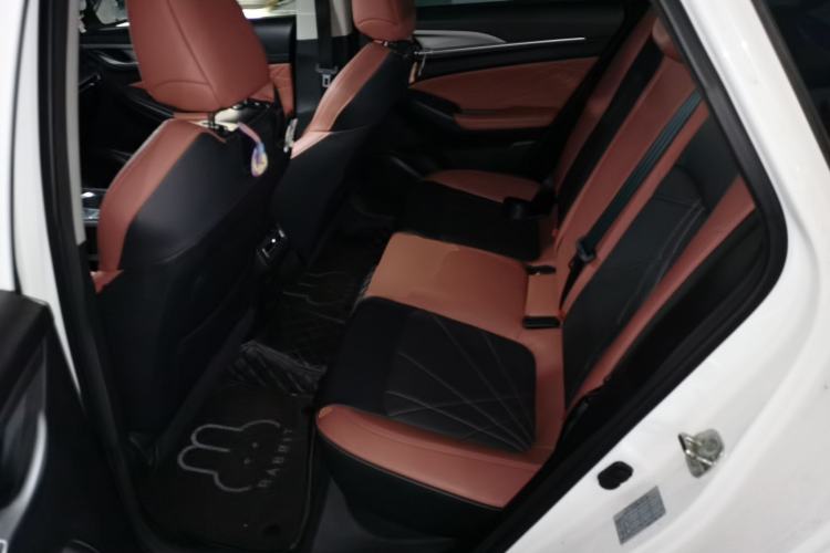 Used CHANGAN Eado 2022 PLUS Blue Whale NE 1.4T GDI DCT Prestige Edition Left Rear Seat