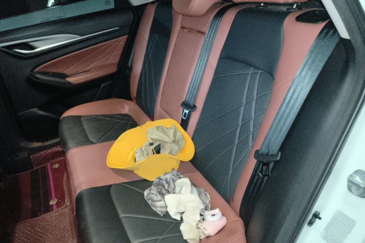 Used CHANGAN Eado 2022 PLUS Blue Whale NE 1.4T GDI DCT Flagship Edition Left Rear Seat