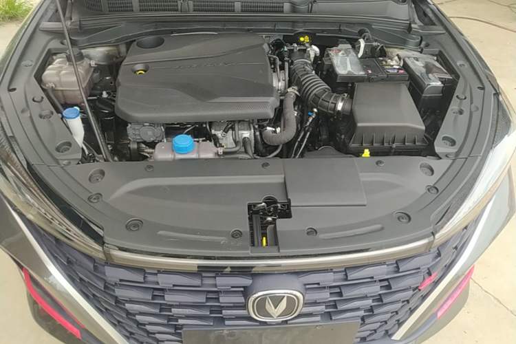 Used CHANGAN Eado 2023 Changan Edition PLUS Blue Whale NE 1.4T GDI DCT Prestige Version Engine Bay