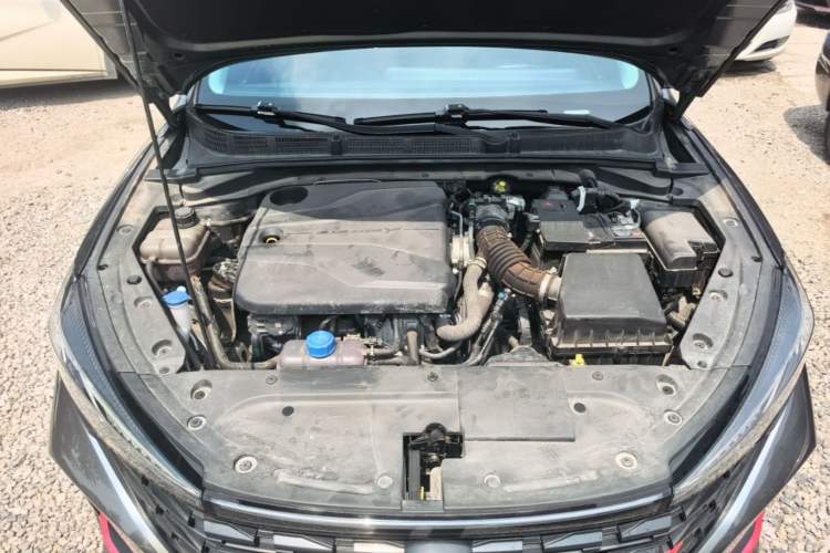 Used CHANGAN Eado 2023 Changan Edition PLUS Blue Whale NE 1.4T GDI DCT Prestige Version Engine Bay