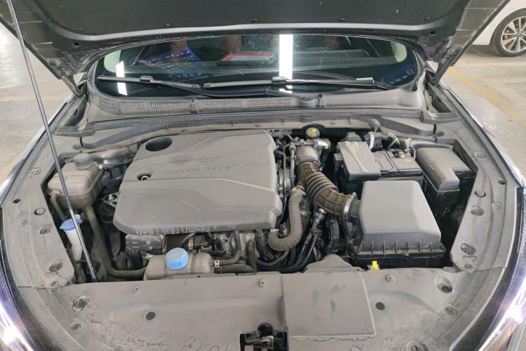 Used CHANGAN Eado 2023 Changan Edition PLUS Blue Whale NE 1.4T GDI DCT Prestige Version Engine Bay