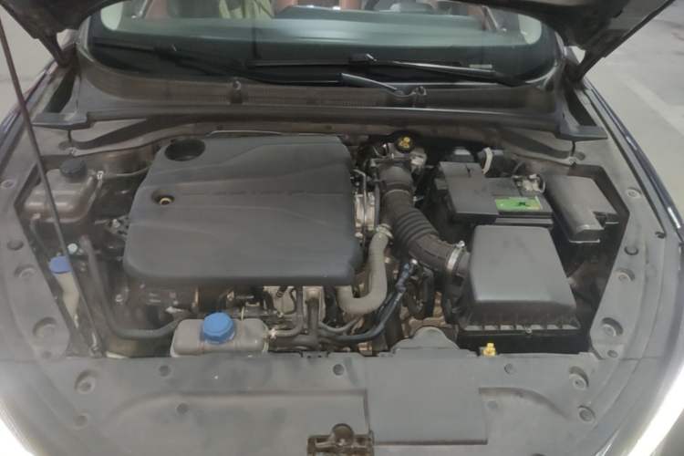 Used CHANGAN Eado 2023 Changan Edition PLUS Blue Whale NE 1.4T GDI DCT Prestige Version Engine Bay