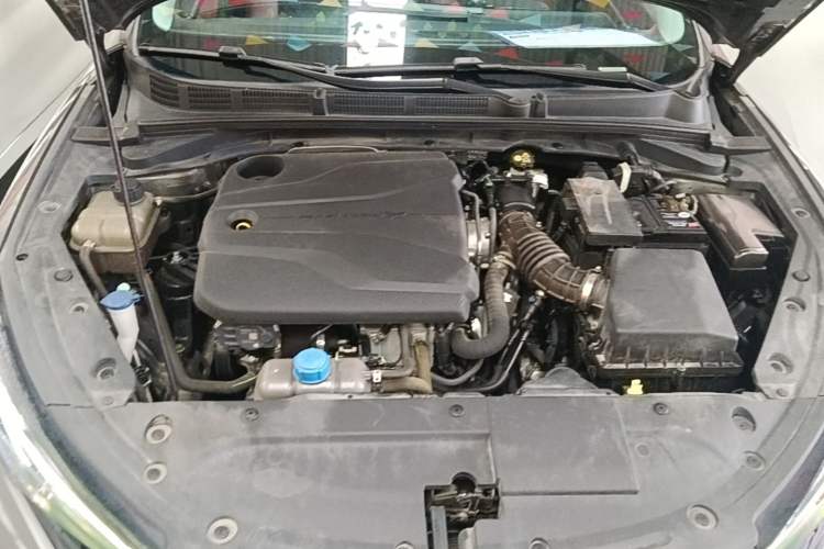 Used CHANGAN Eado 2023 Changan Edition PLUS Blue Whale NE 1.4T GDI DCT Prestige Version Engine Bay
