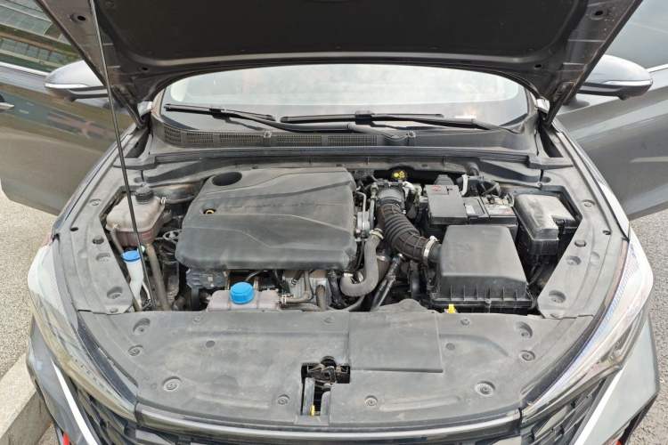Used CHANGAN Eado 2023 Changan Edition PLUS Blue Whale NE 1.4T GDI DCT Prestige Version Engine Bay
