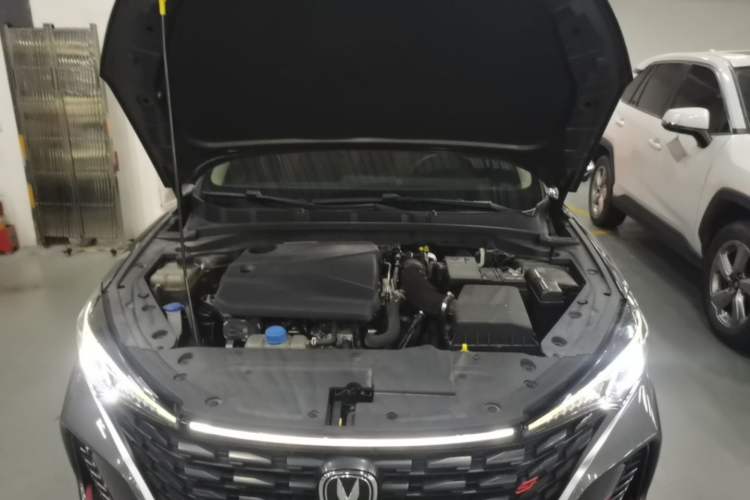 Used CHANGAN Eado 2023 Changan Edition PLUS Blue Whale NE 1.4T GDI DCT Prestige Version Engine Bay