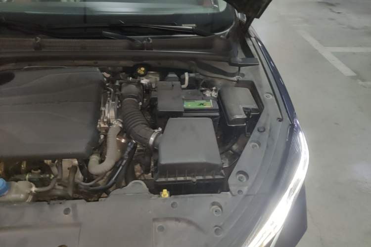 Used CHANGAN Eado 2023 Changan Edition PLUS Blue Whale NE 1.4T GDI DCT Prestige Version Engine Bay Left