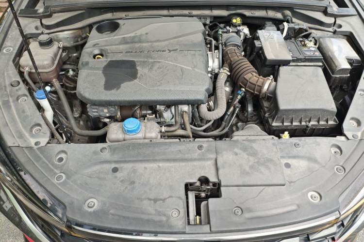Used CHANGAN Eado 2023 Changan Edition PLUS Blue Whale NE 1.4T GDI DCT Prestige Version Engine Bay