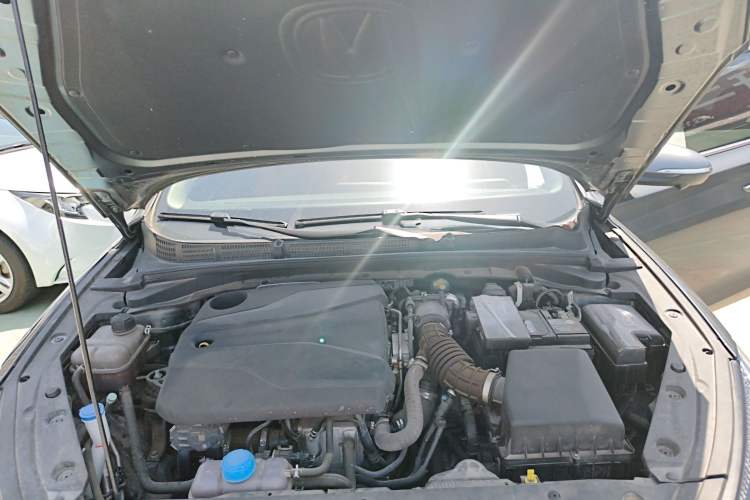 Used CHANGAN Eado 2023 Changan Edition PLUS Blue Whale NE 1.4T GDI DCT Prestige Version Engine Bay