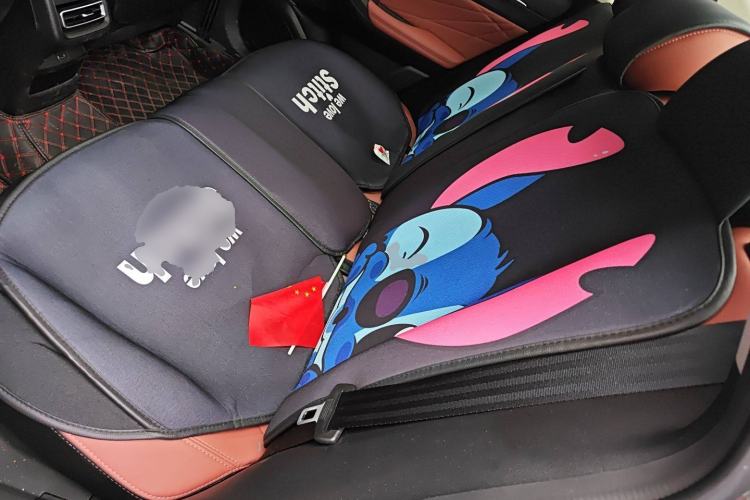 Used CHANGAN Eado 2023 Changan Edition PLUS Blue Whale NE 1.4T GDI DCT Prestige Version Left Rear Seat