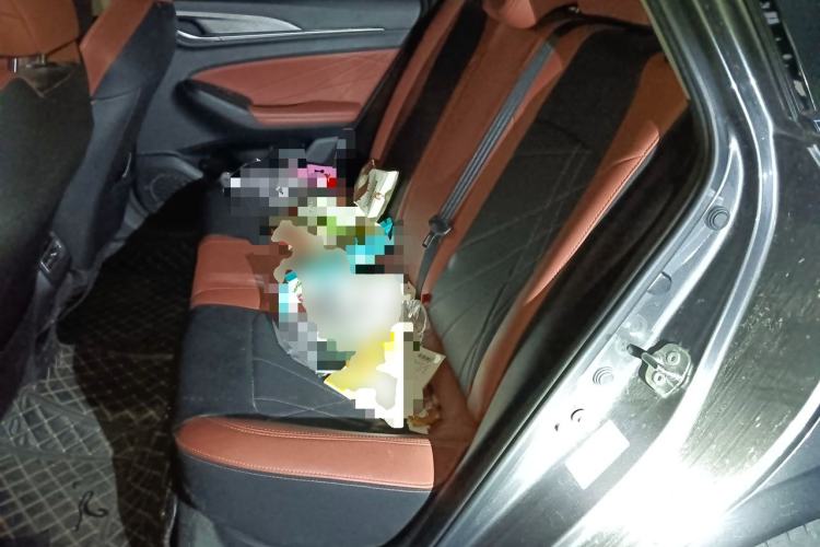 Used CHANGAN Eado 2023 Changan Edition PLUS Blue Whale NE 1.4T GDI DCT Prestige Version Left Rear Seat