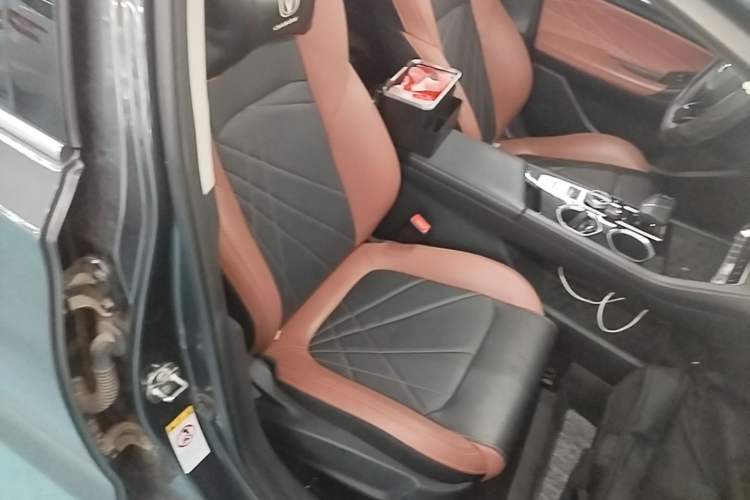 Used CHANGAN Eado 2023 Changan Edition PLUS Blue Whale NE 1.4T GDI DCT Prestige Version Right Front Seat