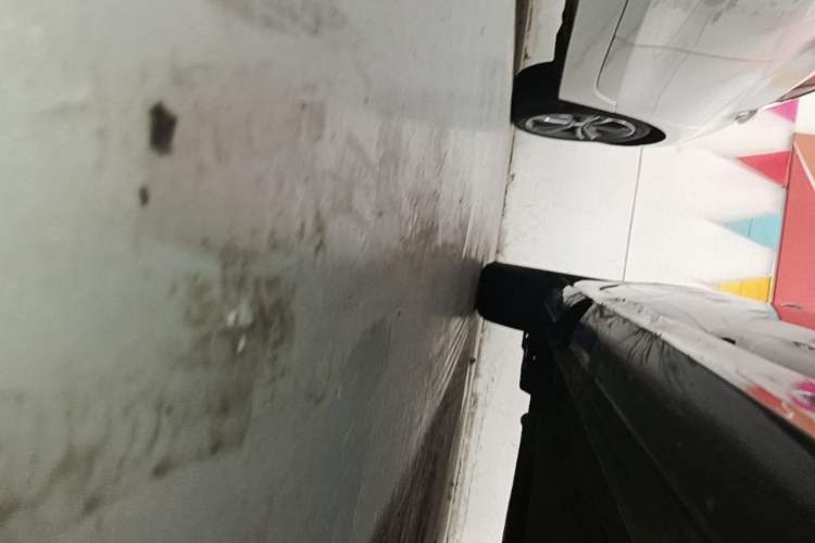 Used CHANGAN Eado 2023 Changan Edition PLUS Blue Whale NE 1.4T GDI DCT Prestige Version Right Side Sill