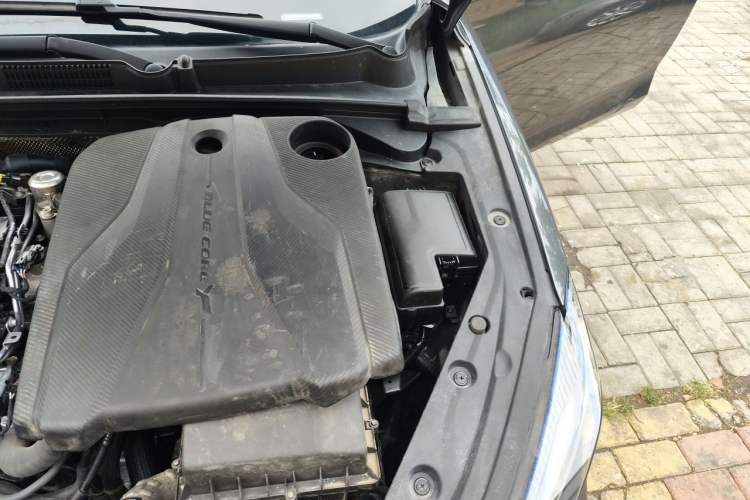 Used CHANGAN Eado 2023 Changan Edition PLUS Blue Whale NE 1.4T GDI DCT Prestige Version Engine Bay Left