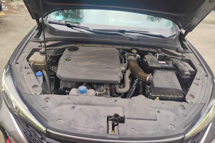 Used CHANGAN Eado 2023 Changan Edition PLUS Blue Whale NE 1.4T GDI DCT Prestige Version Engine Bay