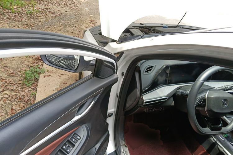 Used CHANGAN Eado 2023 Changan Edition PLUS Blue Whale NE 1.4T GDI DCT Prestige Version Driver Seat