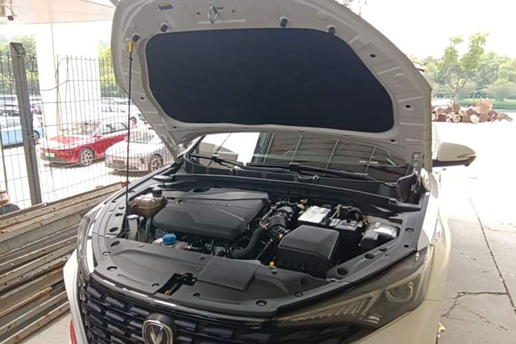 Used CHANGAN Eado 2023 Changan Edition PLUS Blue Whale NE 1.4T GDI DCT Prestige Version Engine Bay