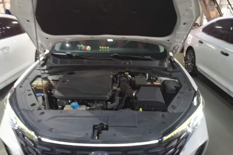 Used CHANGAN Eado 2023 Changan Edition PLUS Blue Whale NE 1.4T GDI DCT Prestige Version Engine Bay