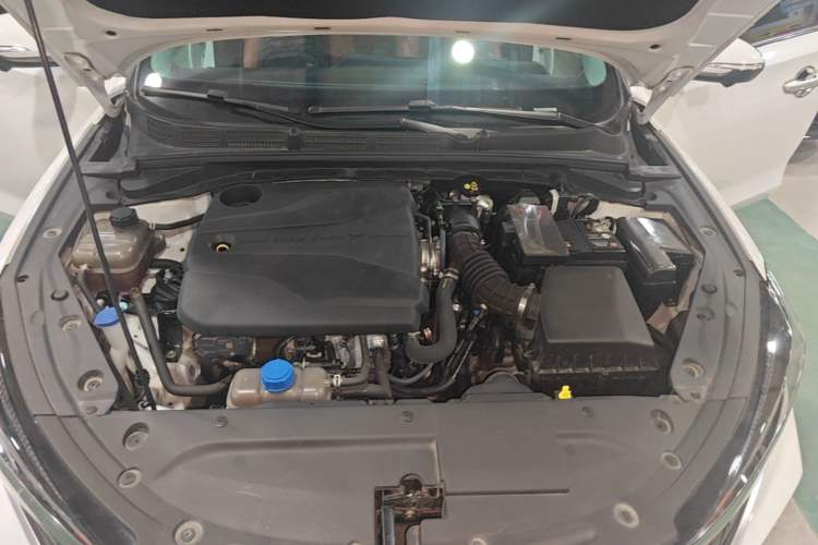 Used CHANGAN Eado 2023 Changan Edition PLUS Blue Whale NE 1.4T GDI DCT Prestige Version Engine Bay