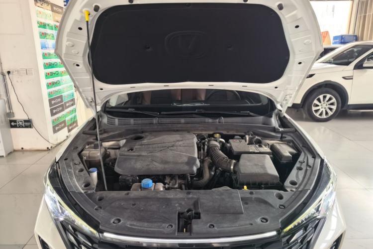Used CHANGAN Eado 2023 Changan Edition PLUS Blue Whale NE 1.4T GDI DCT Prestige Version Engine Bay