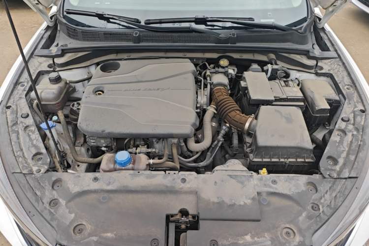 Used CHANGAN Eado 2023 Changan Edition PLUS Blue Whale NE 1.4T GDI DCT Prestige Version Engine Bay