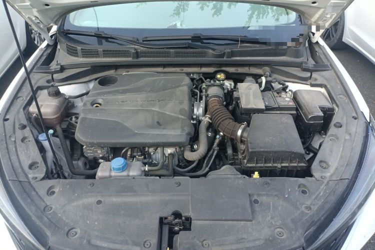 Used CHANGAN Eado 2023 Changan Edition PLUS Blue Whale NE 1.4T GDI DCT Prestige Version Engine Bay