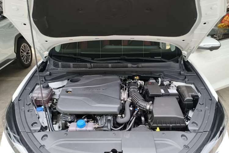 Used CHANGAN Eado 2023 Changan Edition PLUS Blue Whale NE 1.4T GDI DCT Prestige Version Engine Bay