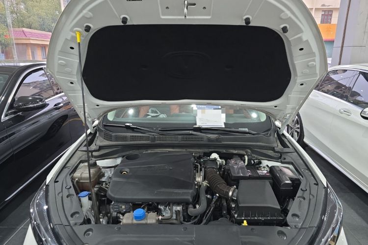 Used CHANGAN Eado 2023 Changan Edition PLUS Blue Whale NE 1.4T GDI DCT Prestige Version Engine Bay
