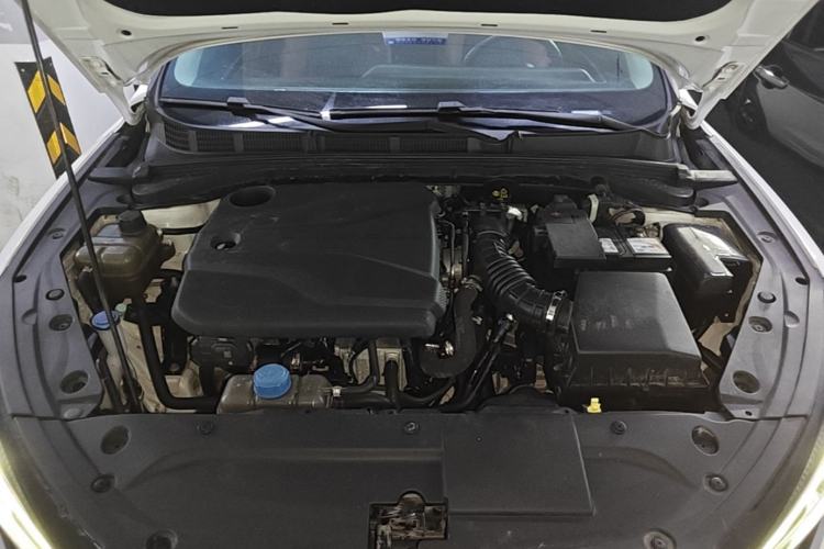 Used CHANGAN Eado 2023 Changan Edition PLUS Blue Whale NE 1.4T GDI DCT Prestige Version Engine Bay