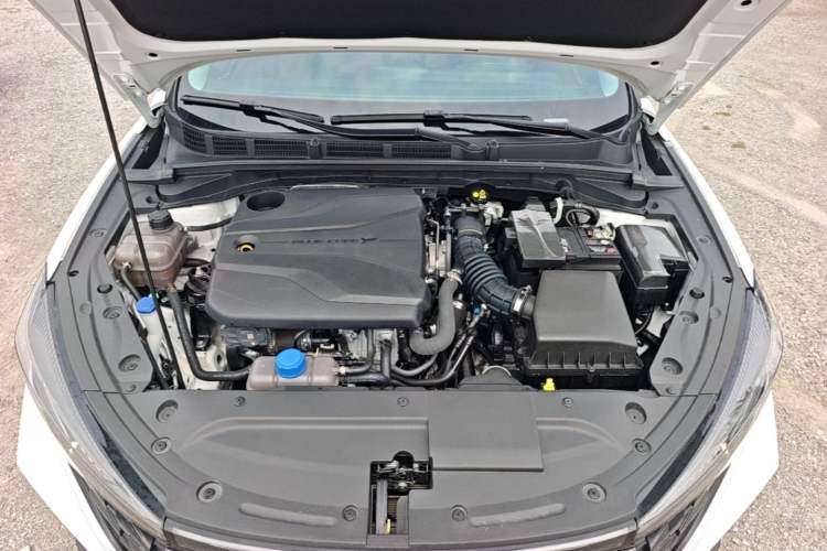 Used CHANGAN Eado 2023 Changan Edition PLUS Blue Whale NE 1.4T GDI DCT Prestige Version Engine Bay