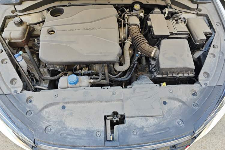 Used CHANGAN Eado 2023 Changan Edition PLUS Blue Whale NE 1.4T GDI DCT Prestige Version Engine Bay