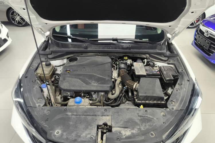 Used CHANGAN Eado 2023 Changan Edition PLUS Blue Whale NE 1.4T GDI DCT Prestige Version Engine Bay