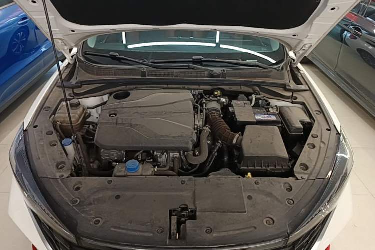 Used CHANGAN Eado 2023 Changan Edition PLUS Blue Whale NE 1.4T GDI DCT Prestige Version Engine Bay