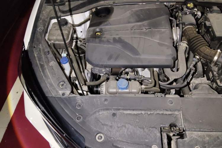 Used CHANGAN Eado 2023 Changan Edition PLUS Blue Whale NE 1.4T GDI DCT Prestige Version Engine Bay Right