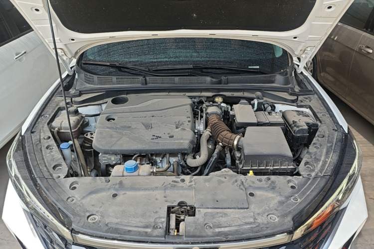 Used CHANGAN Eado 2023 Changan Edition PLUS Blue Whale NE 1.4T GDI DCT Prestige Version Engine Bay