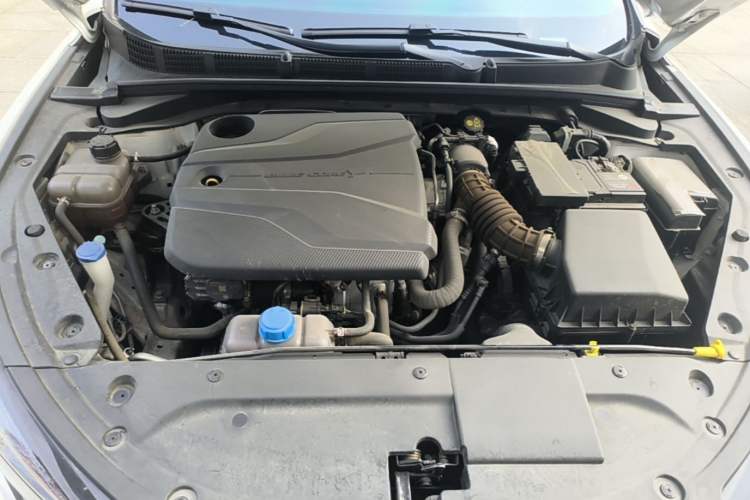 Used CHANGAN Eado 2023 Changan Edition PLUS Blue Whale NE 1.4T GDI DCT Prestige Version Engine Bay