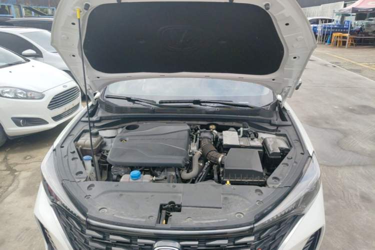 Used CHANGAN Eado 2023 Changan Edition PLUS Blue Whale NE 1.4T GDI DCT Prestige Version Engine Bay
